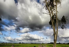 乌克兰客场击败列支敦士登，实现三连胜