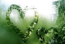 乌克兰客场击败列支敦士登，实现三连胜