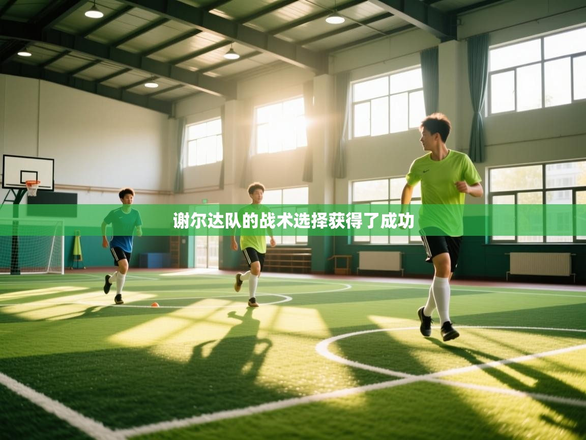 谢尔达队的战术选择获得了成功 第2张