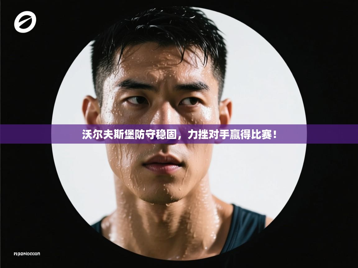 沃尔夫斯堡防守稳固，力挫对手赢得比赛！  第1张