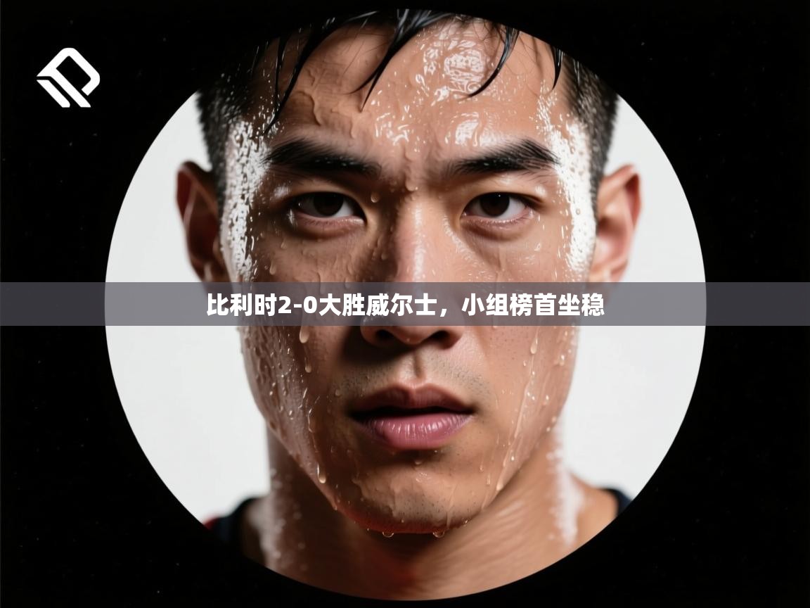 比利时2-0大胜威尔士,小组榜首坐稳 第1张