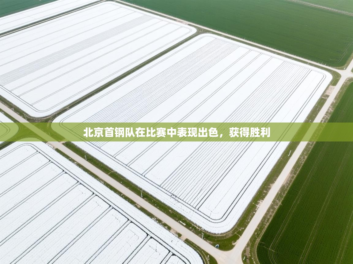 北京首钢队在比赛中表现出色,获得胜利 第2张