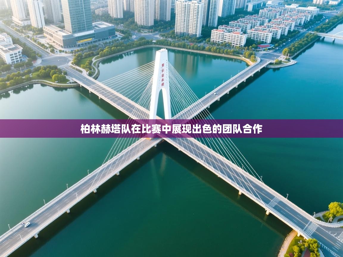 柏林赫塔队在比赛中展现出色的团队合作  第2张