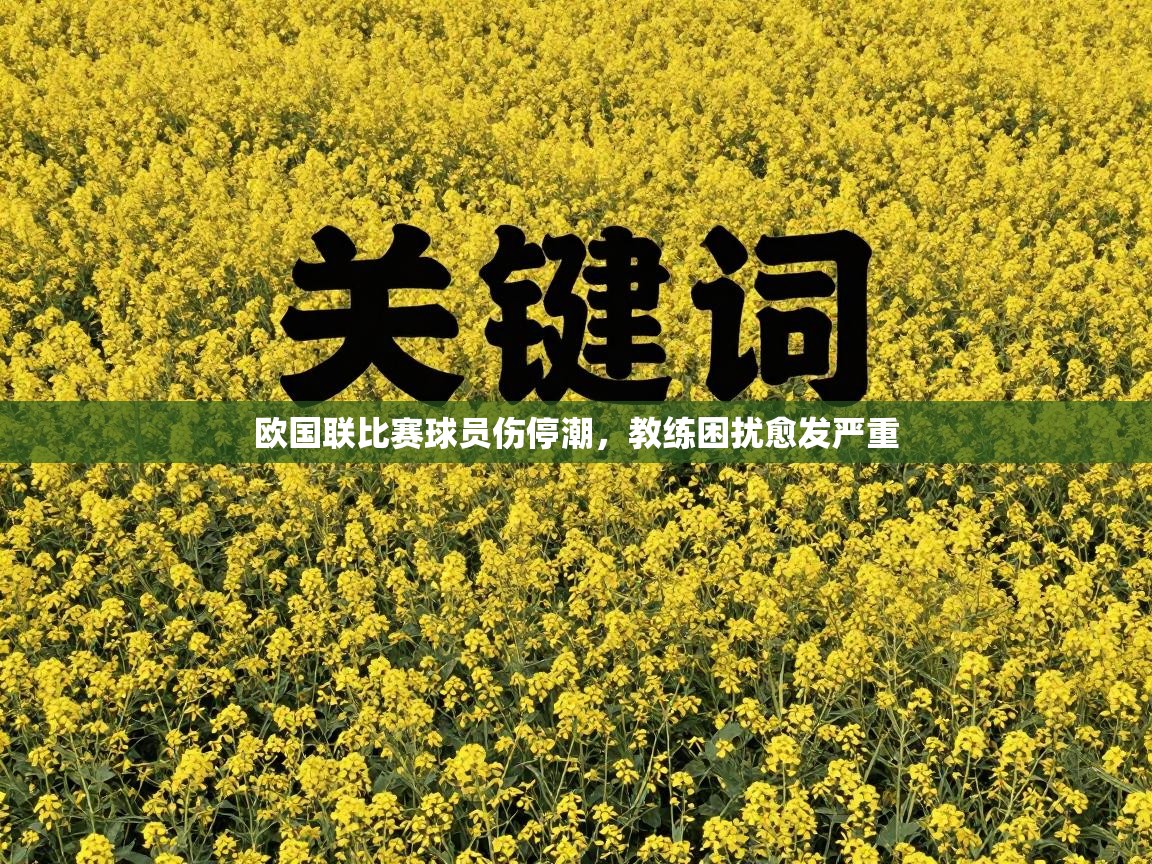欧国联比赛球员伤停潮，教练困扰愈发严重  第2张