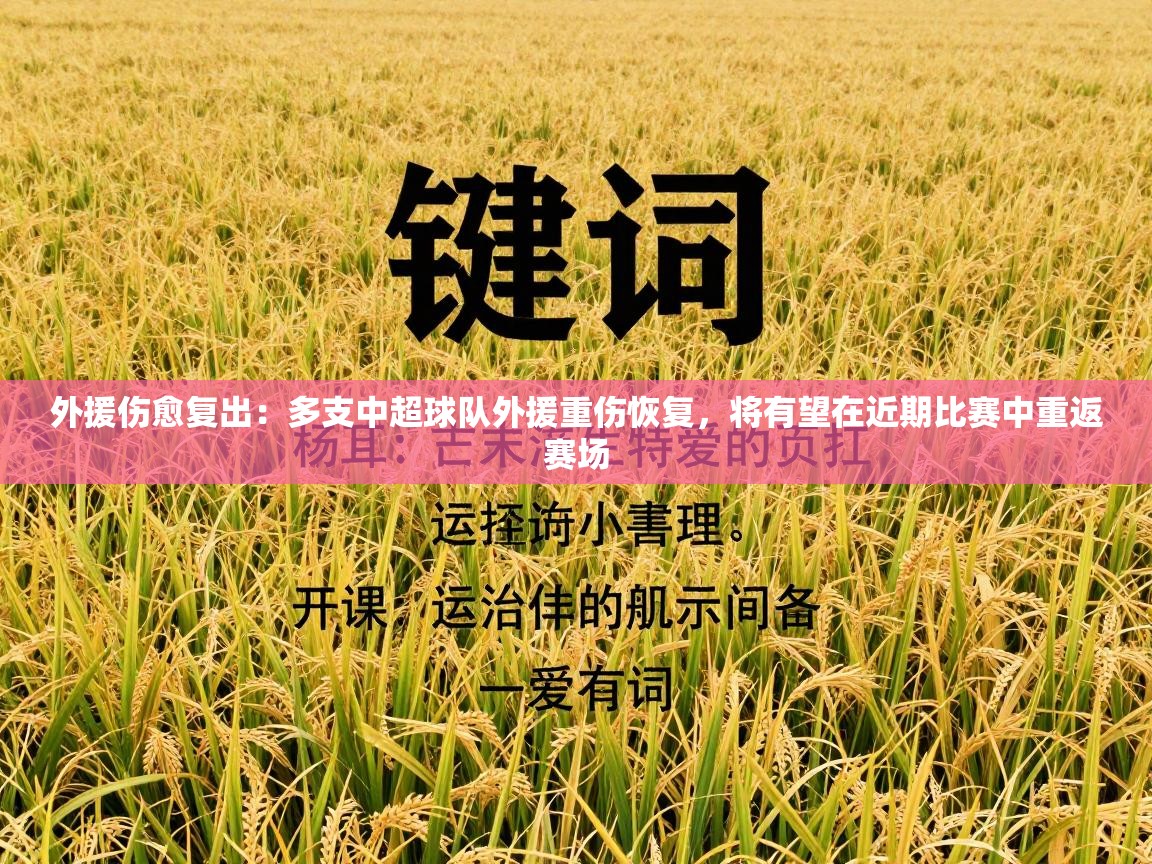 外援伤愈复出:多支中超球队外援重伤恢复,将有望在近期比赛中重返赛场 第2张