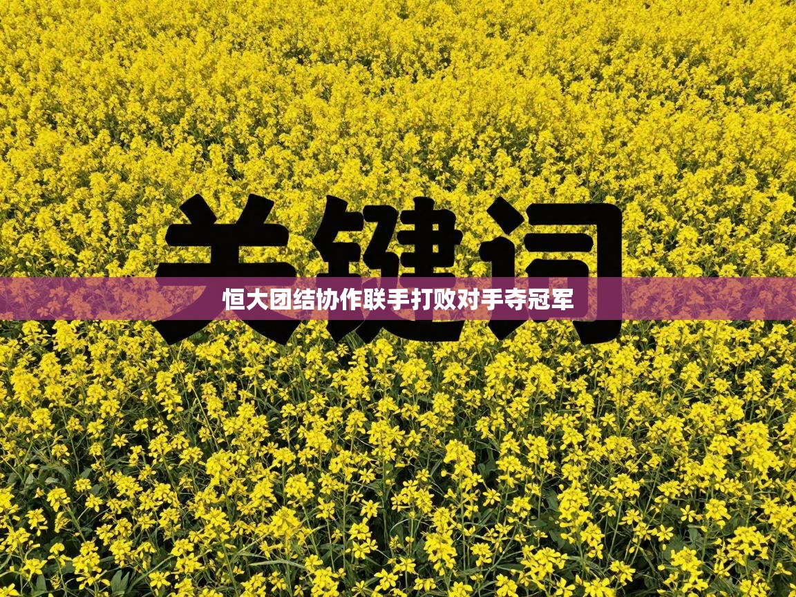 恒大团结协作联手打败对手夺冠军 第2张